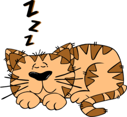 Cartoon Cat Sleeping