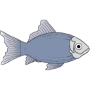 download Generic Fish clipart image with 45 hue color