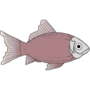 download Generic Fish clipart image with 180 hue color