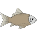 download Generic Fish clipart image with 225 hue color