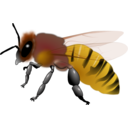 download Honeybee clipart image with 0 hue color