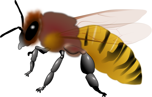 Honeybee Clipart I2clipart Royalty Free Public Domain Clipart