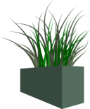 Grass In Square Planter