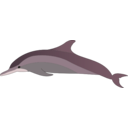 download Dolphin clipart image with 135 hue color