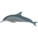 download Dolphin clipart image with 0 hue color