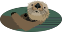 Sea Otter