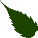 Leaf 05