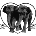 download Lover Elephants clipart image with 0 hue color