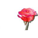 download Yellowrose3 clipart image with 315 hue color