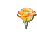 download Yellowrose3 clipart image with 0 hue color