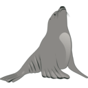 download Sea Lion clipart image with 315 hue color
