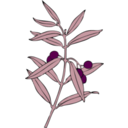 download Olive Branch clipart image with 270 hue color