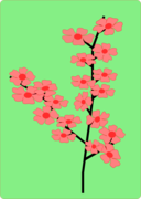 Flower Flowers Sakura