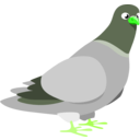 download Pigeon clipart image with 90 hue color