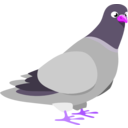 download Pigeon clipart image with 270 hue color