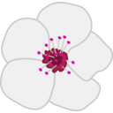 download Cherry Flower clipart image with 270 hue color
