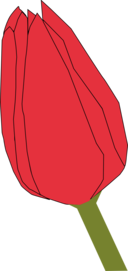 Tulip2