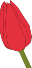 Tulip2