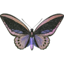 download Ornithoptera Priamus clipart image with 225 hue color