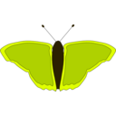 download Orange Butterfly clipart image with 45 hue color