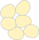 Adipose Tissue