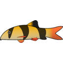 download Clown Loach clipart image with 0 hue color
