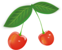 Cherry