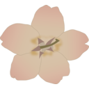 download Sakura clipart image with 0 hue color