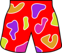 Colorful Beach Shorts