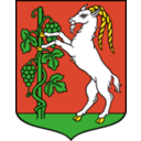 download Lublin Coat Of Arms clipart image with 0 hue color