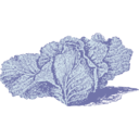 download Jersey Cabbage clipart image with 90 hue color