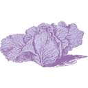 download Jersey Cabbage clipart image with 135 hue color