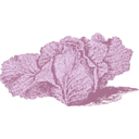 download Jersey Cabbage clipart image with 180 hue color