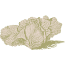 download Jersey Cabbage clipart image with 270 hue color
