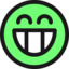 Flat Grin Smiley Emotion Icon Emoticon