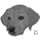 download Dog Head clipart image with 0 hue color