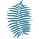 download Fern clipart image with 90 hue color