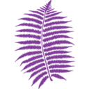 download Fern clipart image with 180 hue color