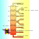 Petroleum Distillation