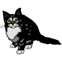 download Kitten Black clipart image with 45 hue color