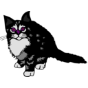 download Kitten Black clipart image with 270 hue color