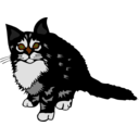 download Kitten Black clipart image with 0 hue color
