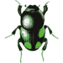 download Beetle Caccobius clipart image with 90 hue color