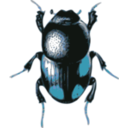 download Beetle Caccobius clipart image with 180 hue color