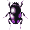 download Beetle Caccobius clipart image with 270 hue color