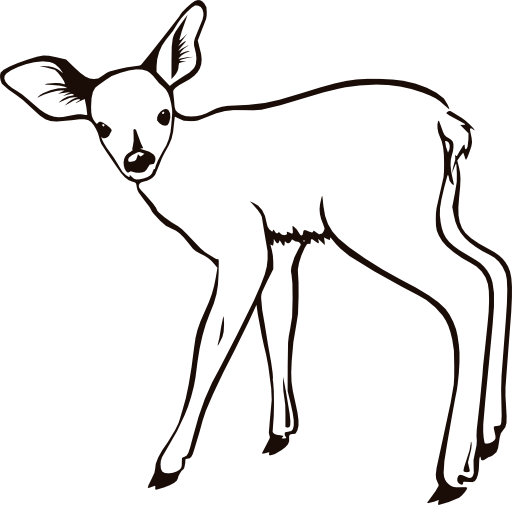 Fawn Outline Clipart I2clipart Royalty Free Public Domain Clipart