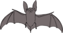 Bat