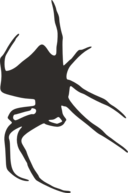 Spider Silhouette