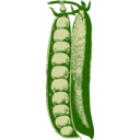 download Peas clipart image with 315 hue color
