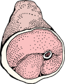 Ham 1